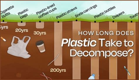 How long does it take for spot putty to dry?